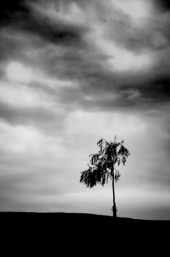 Photograph by Алексей