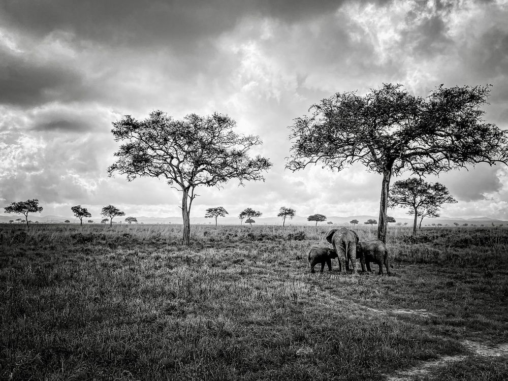 Photograph by Дулова Анастасия