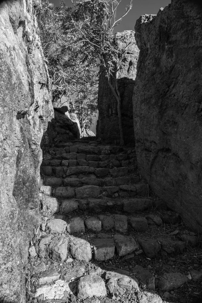 Фотография автора DIMITRIS MPAZIOTOPOULOS