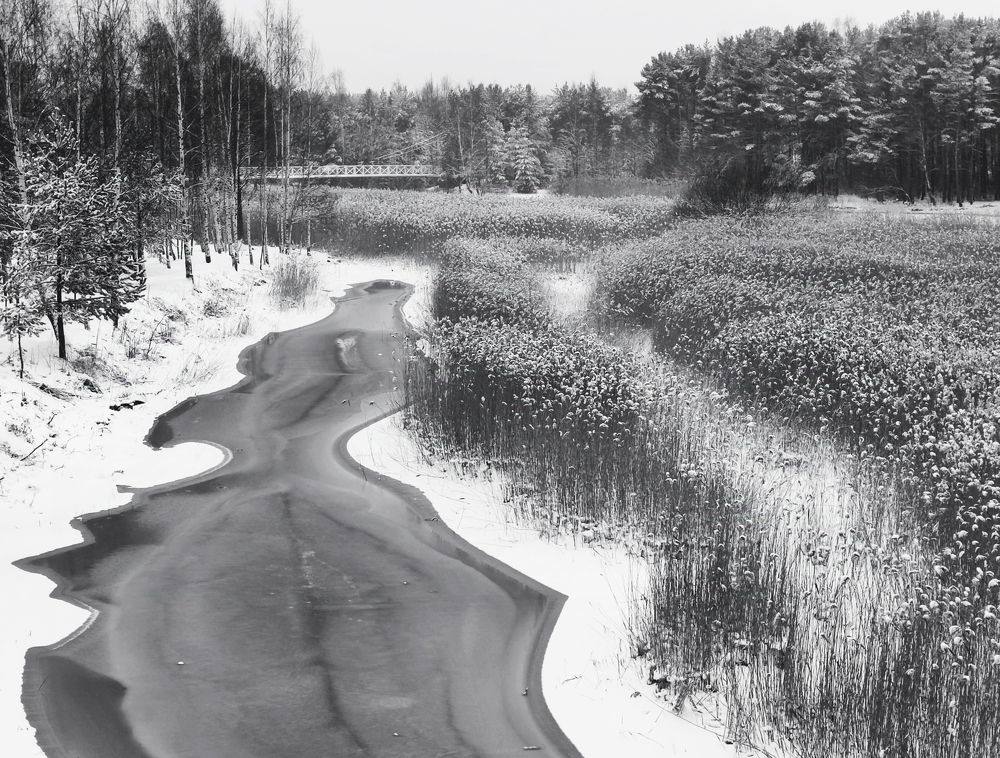 Photograph by Крицак Ольга