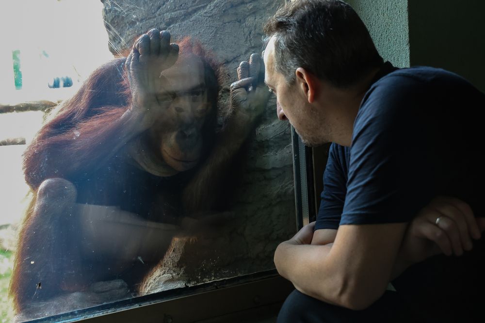 Фотография автора Юлия Захарова