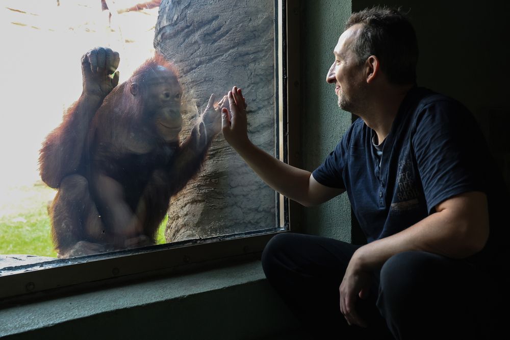 Фотография автора Юлия Захарова