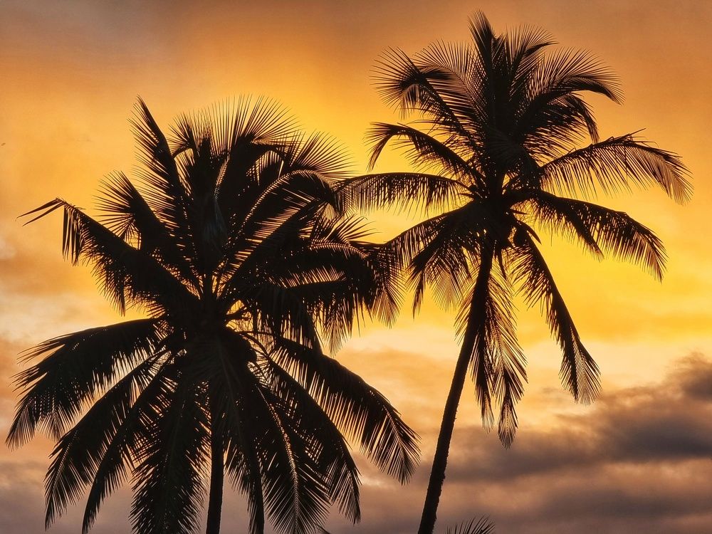 Photograph by Buddhika Dinuranga