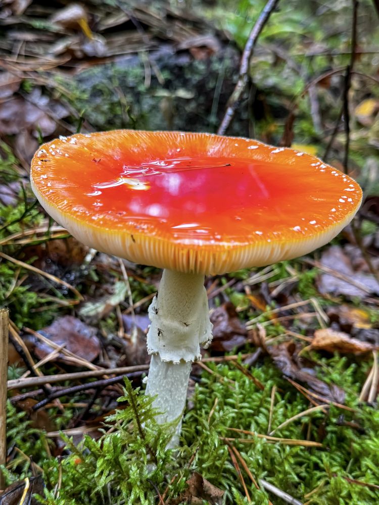 Photograph by Сергей Аверченко