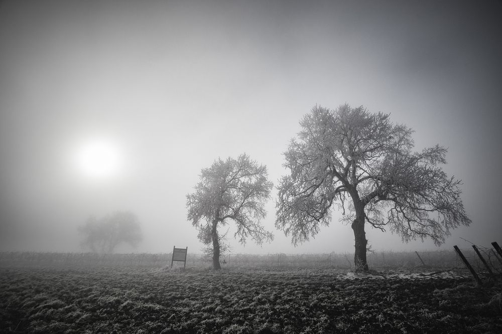 Photograph by Филипп Бабенко