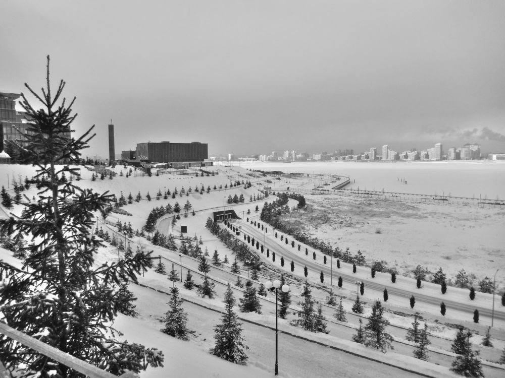 Фотография автора Клавдия Васильева