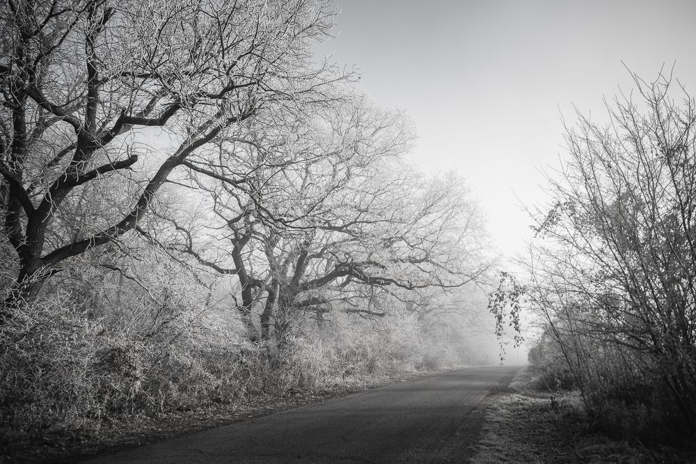 Photograph by Филипп Бабенко