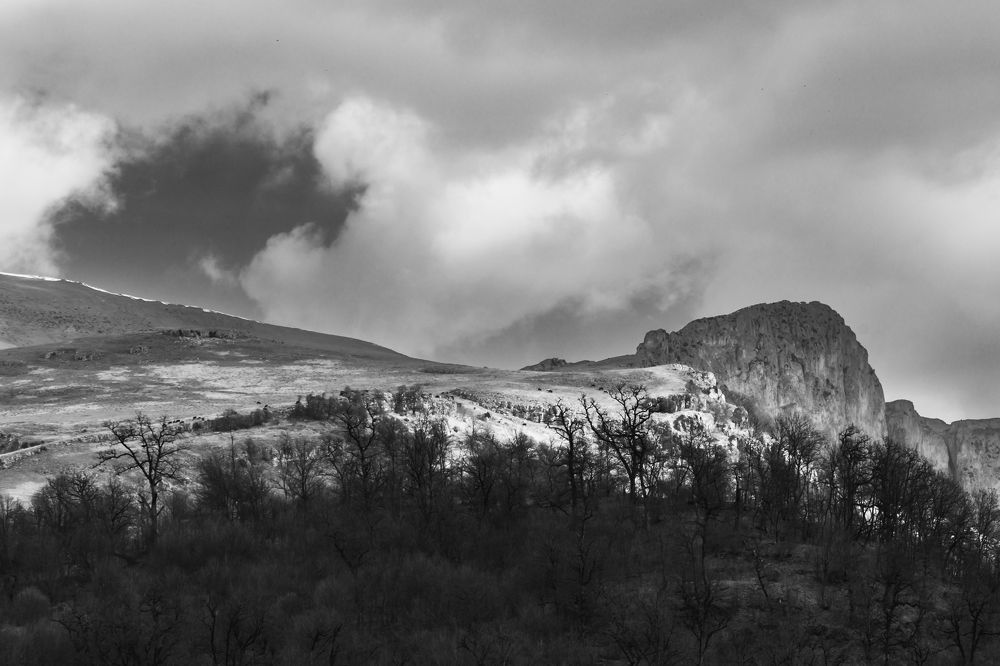 Photograph by Dmitry Kornilov