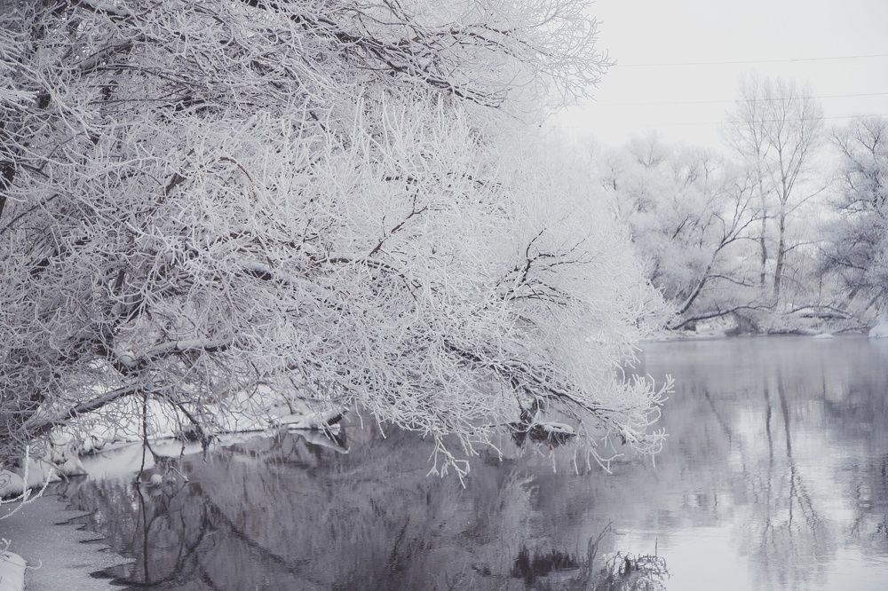 Photograph by дамир чекалин