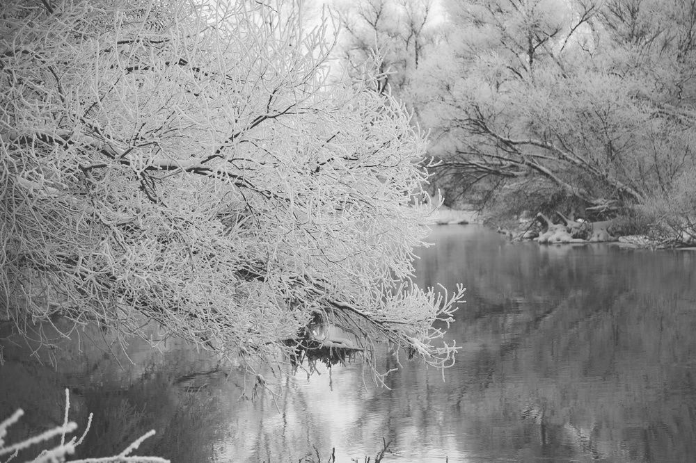 Photograph by дамир чекалин