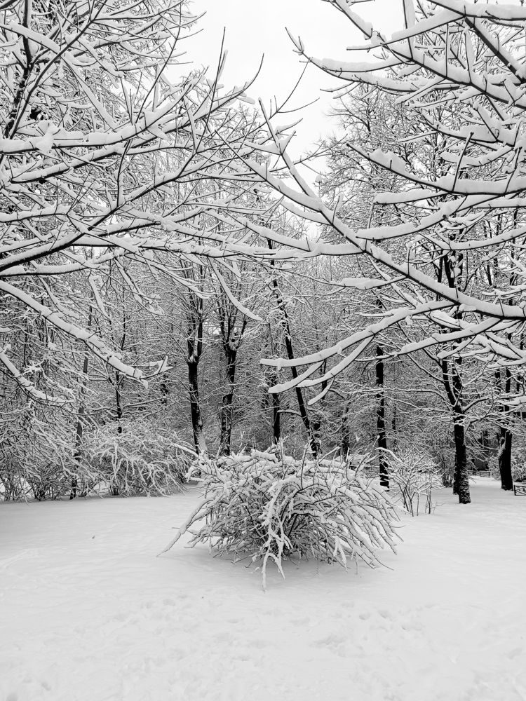 Photograph by Olga Kot