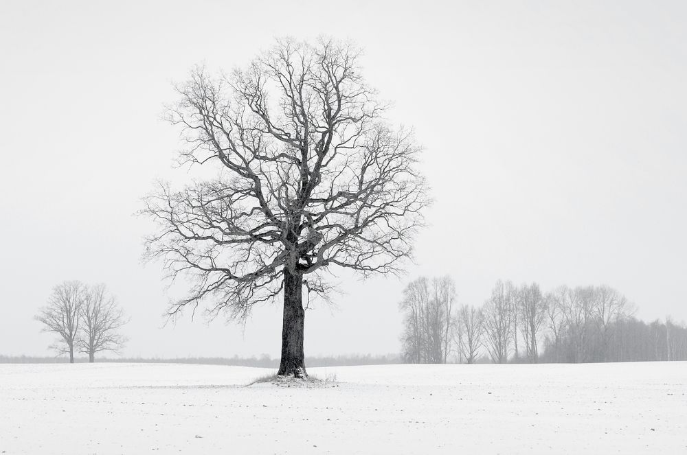 Photograph by Juris Buklovskis