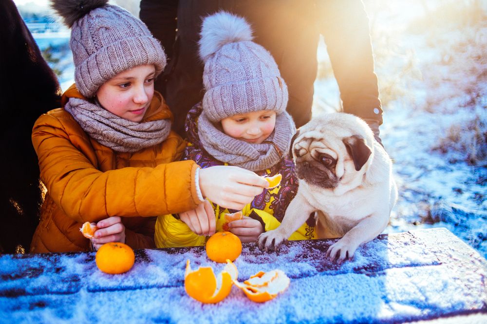 Photograph by Мария Грин (Сычёва)