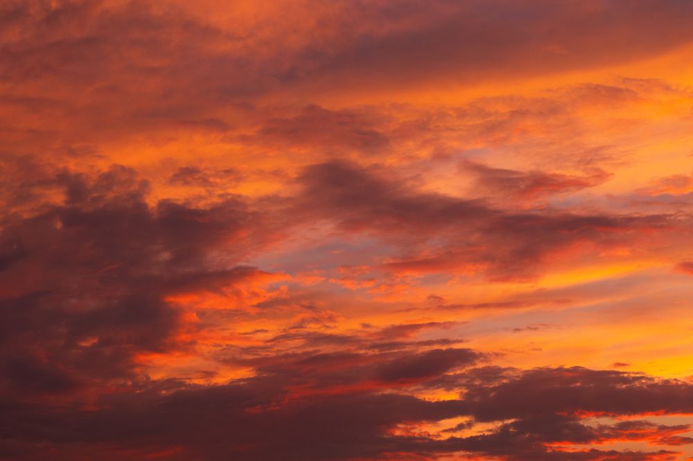 Фотография автора Алексей