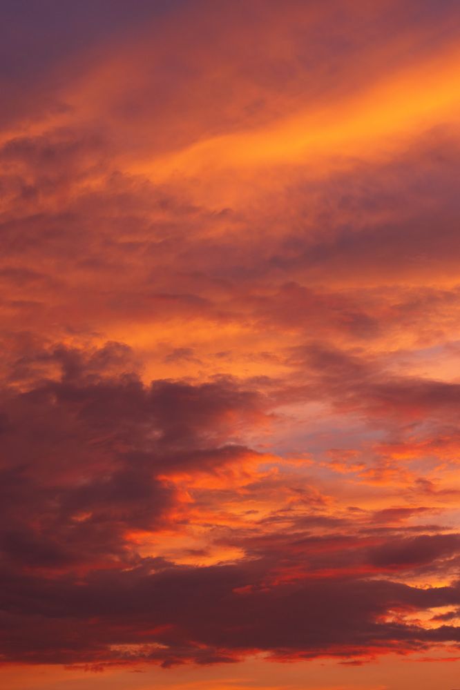 Фотография автора Алексей