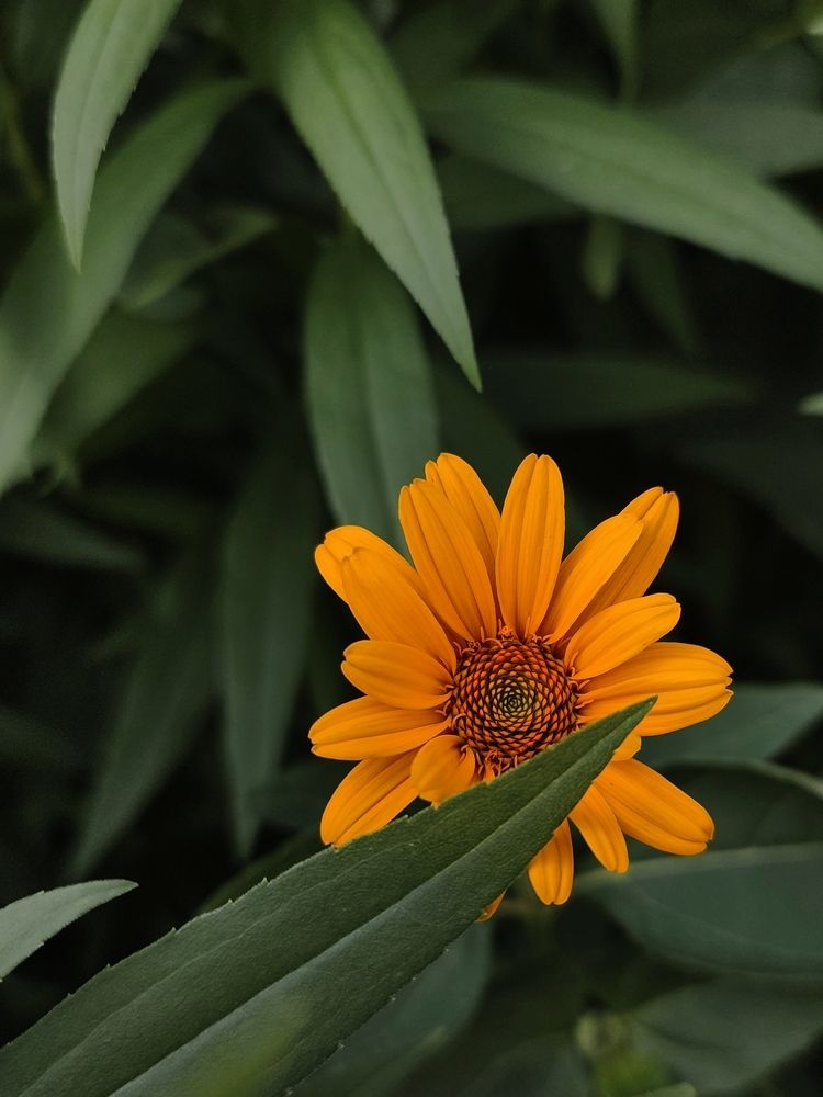 Фотография автора Marina Talalina