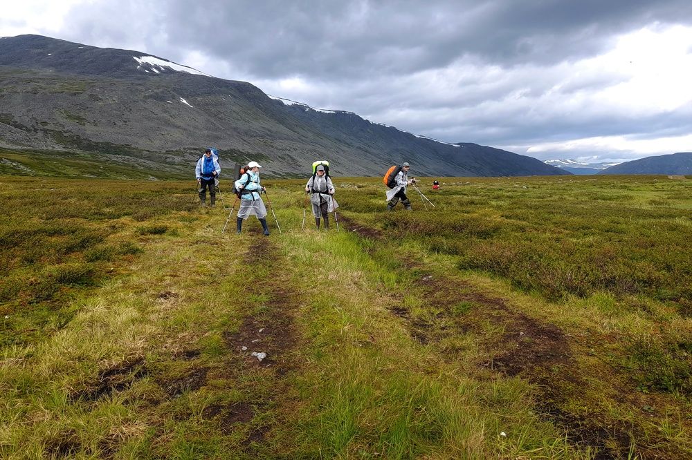 Photograph by Ольга Березовская