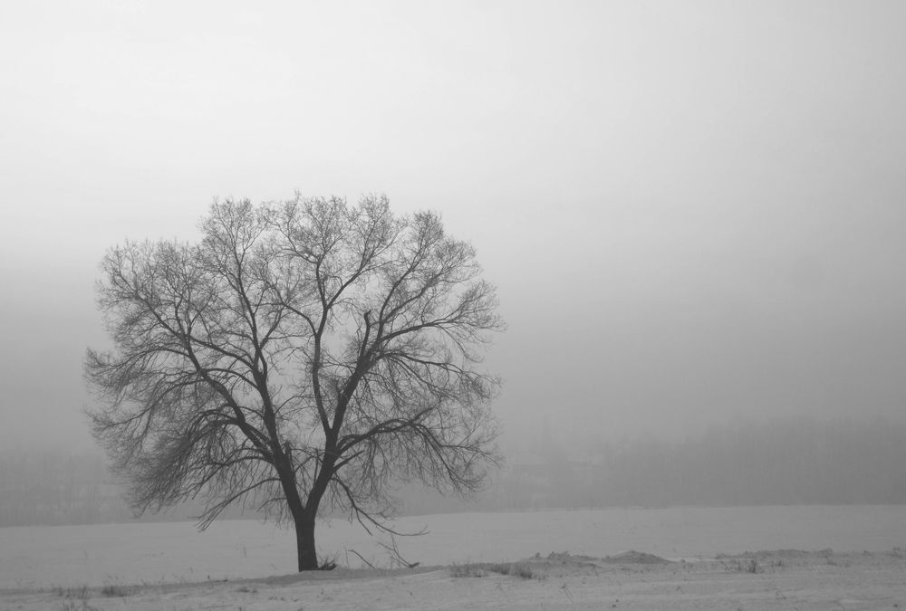 Photograph by Дубровин Николай