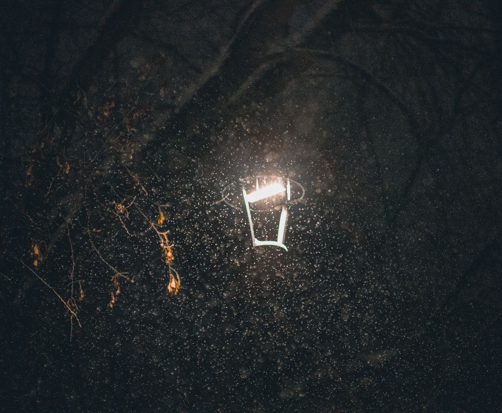 Photograph by Anna Prohorova