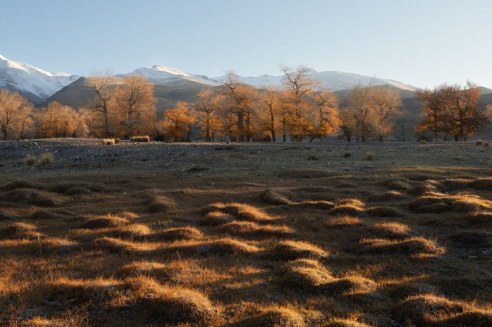 Photograph by Мозжухин Максим