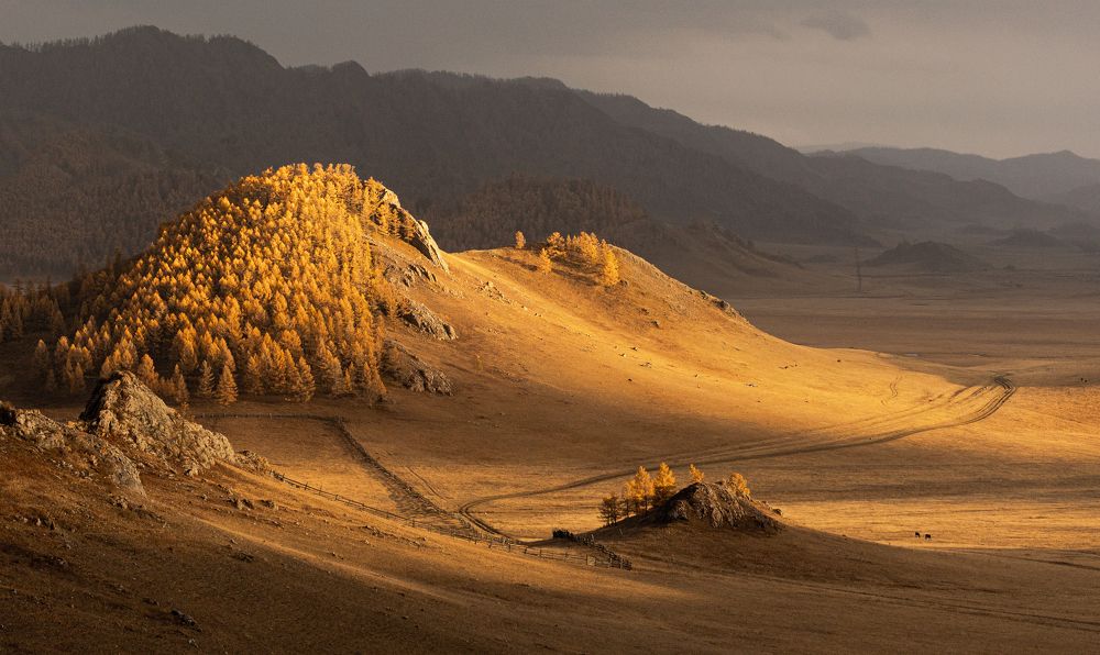 Photograph by Marina Buzina