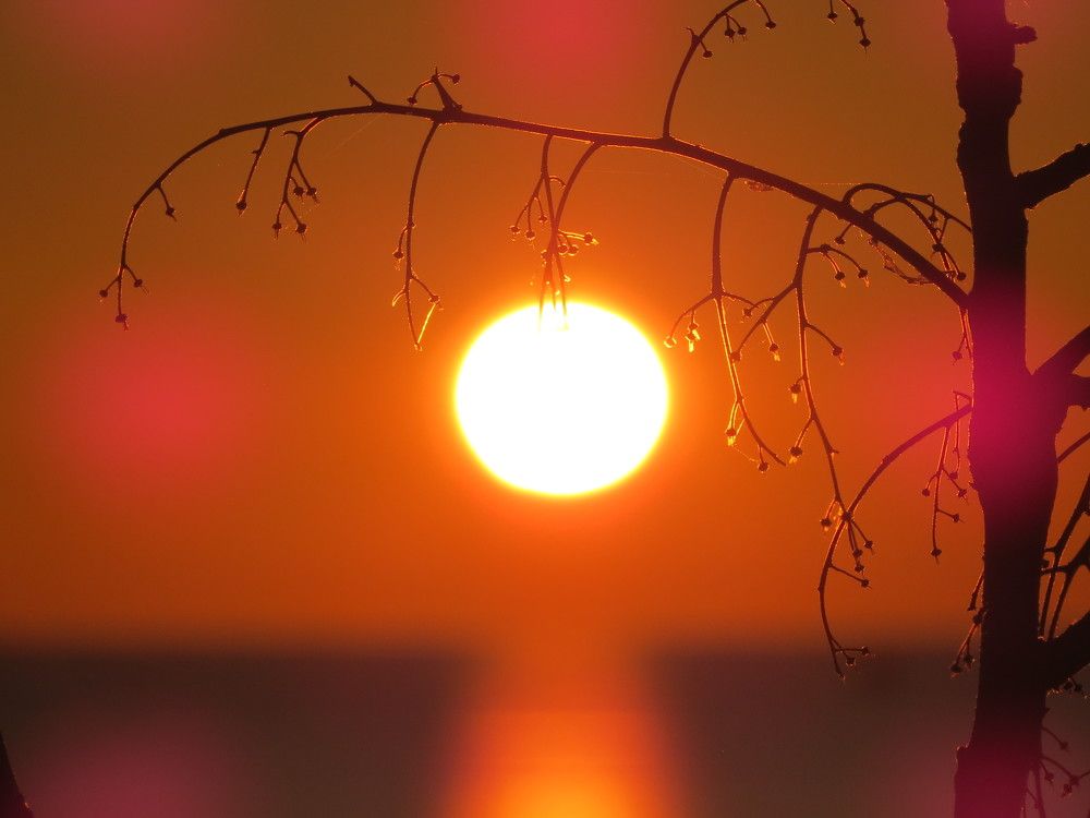 Photograph by Татьяна Стаскевич