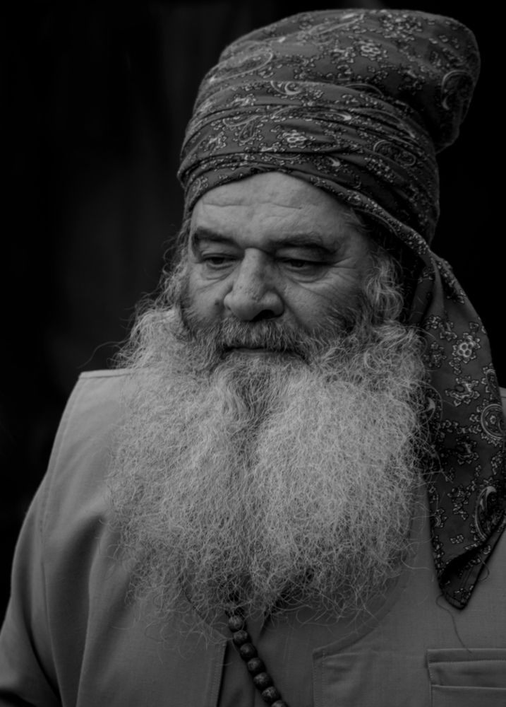 Фотография автора mohammad Alipour