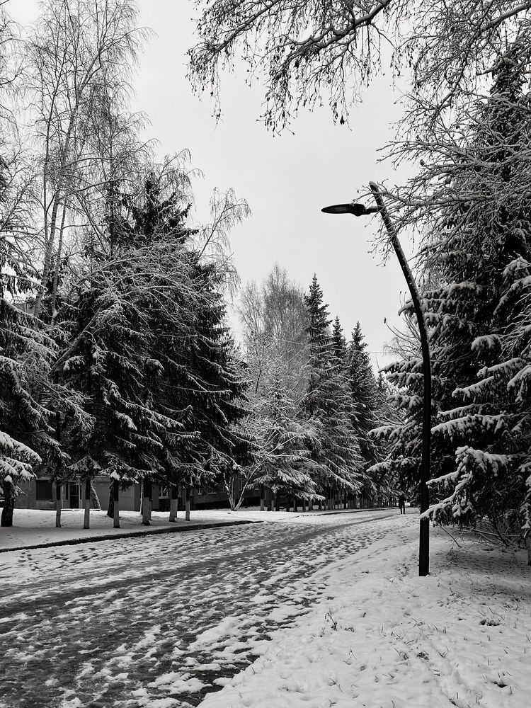 Фотография автора Ирина Павлова