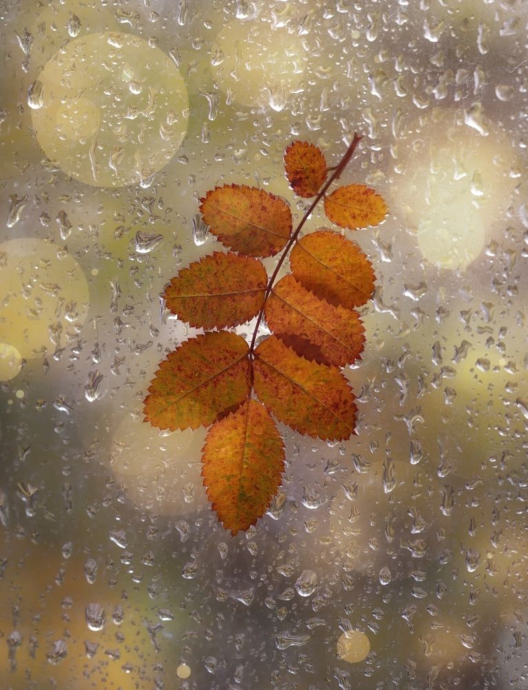 Фотография автора Обидина Мария