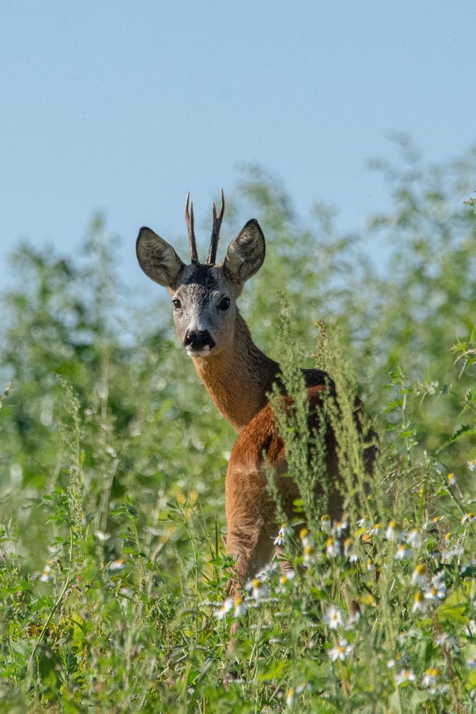 Фотография автора Татьяна Ливеровская