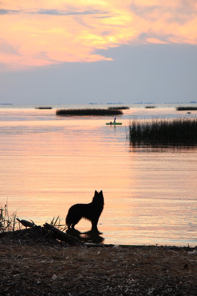 Photograph by Дарья Ищенко