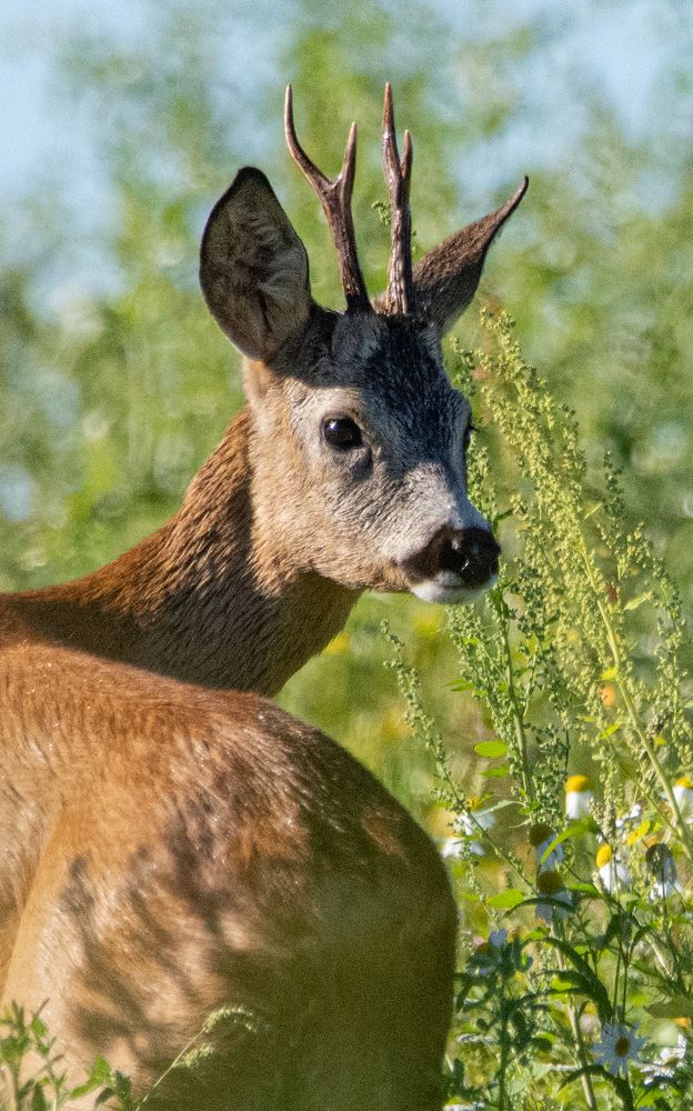 Фотография автора Татьяна Ливеровская