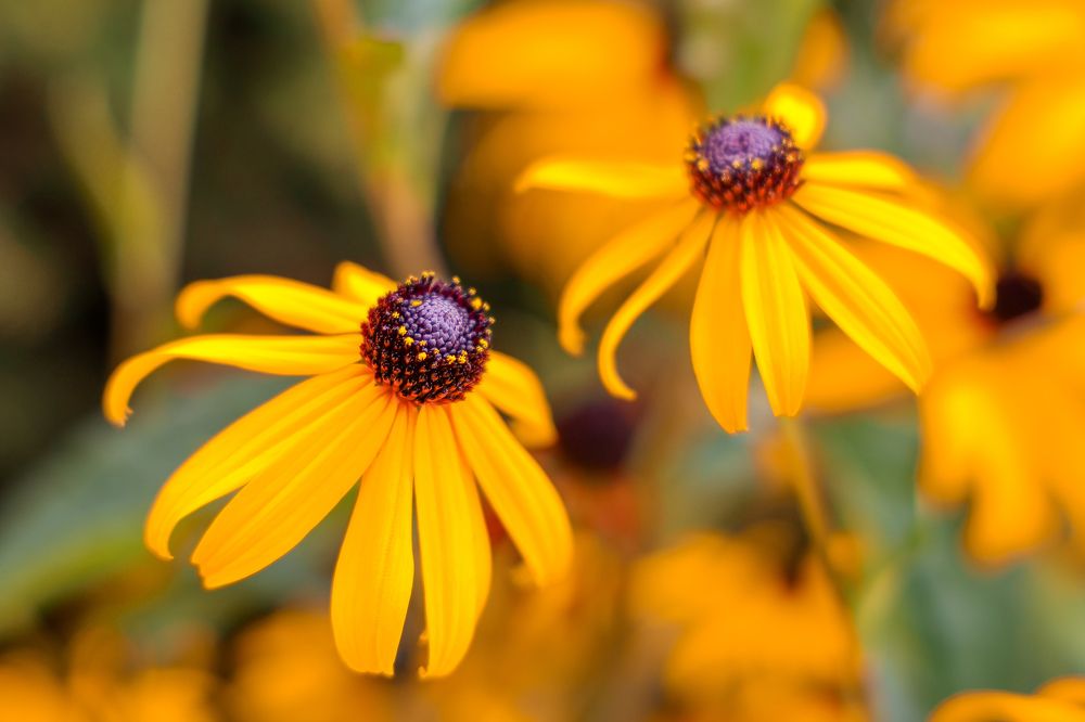 Photograph by Lyudmila Klimanova