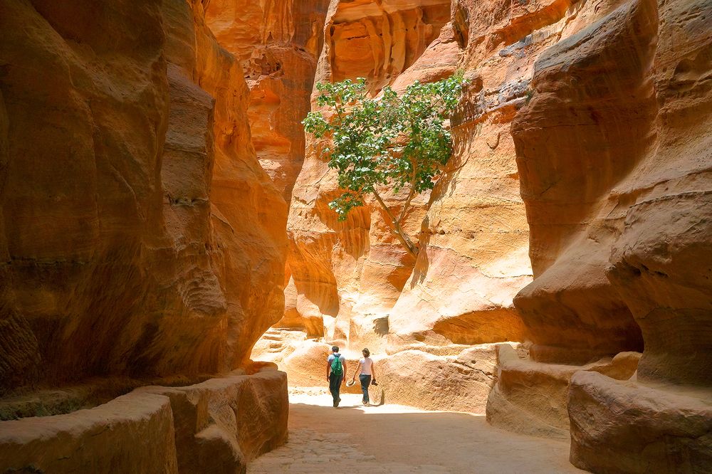 Photograph by Алексей Окунеев