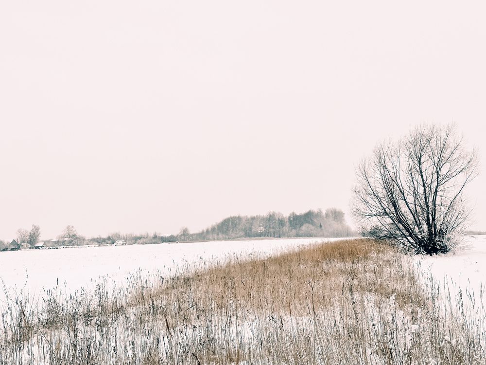 Photograph by Ольга Иванина