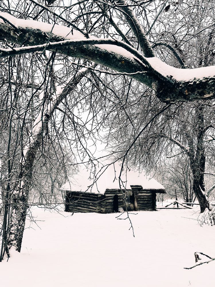 Photograph by Ольга Иванина