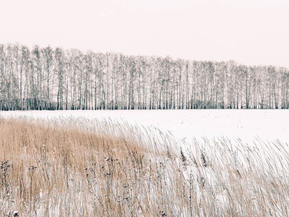 Первый снег