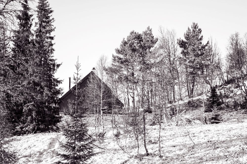 Photograph by Ольга Кудина