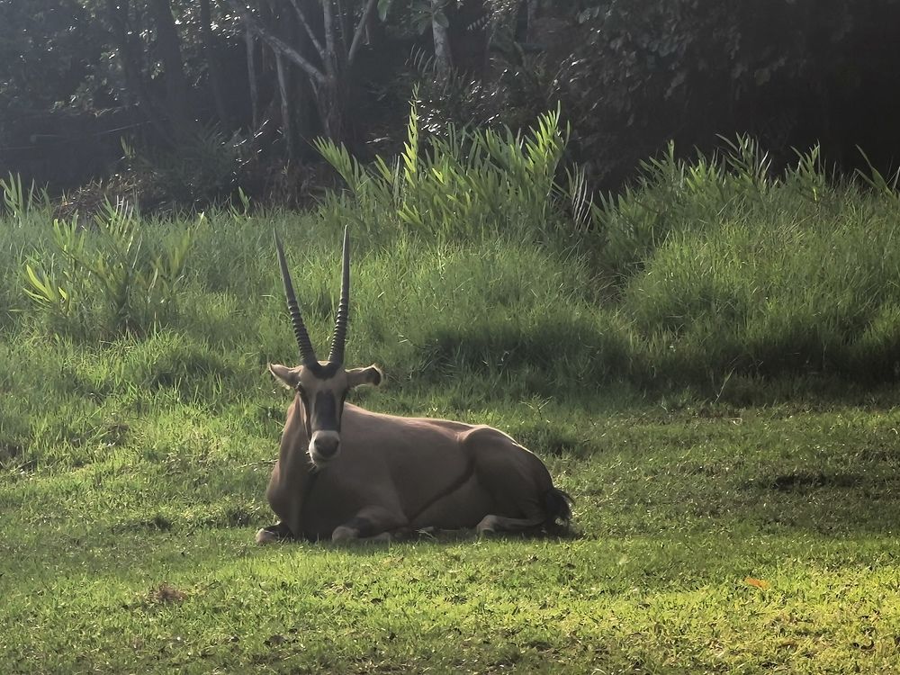 Photograph by Максимушкина Ольга