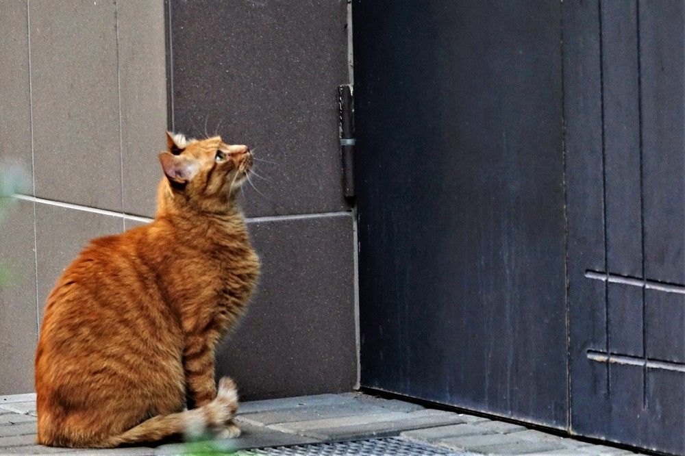 Photograph by jelena konickaja