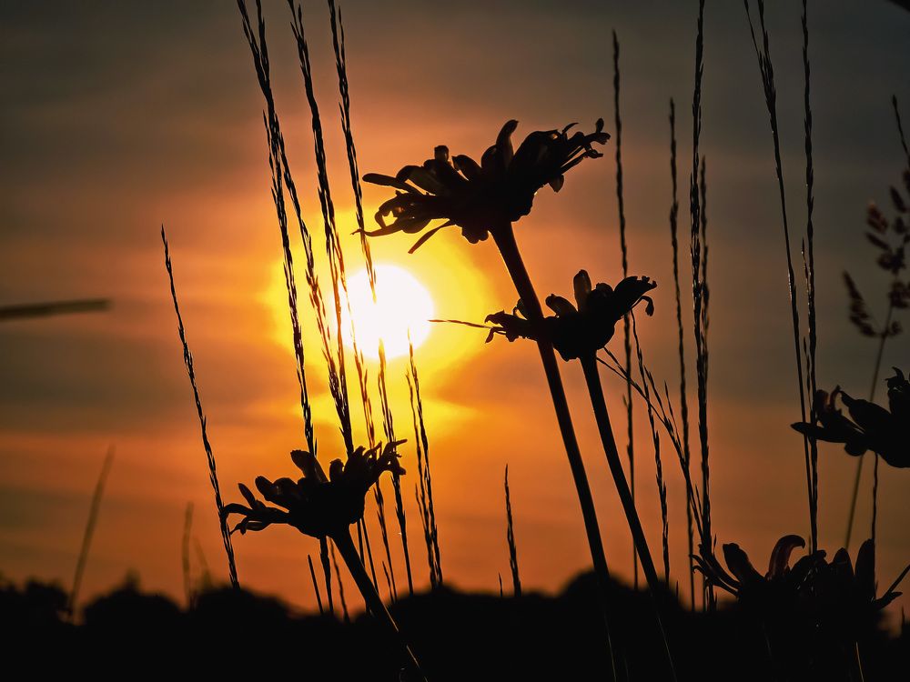 Photograph by Галина Искандарова