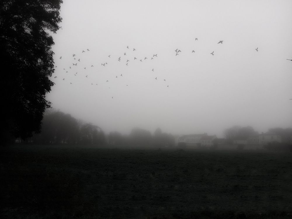 Фотография автора Alexandra Kazakova