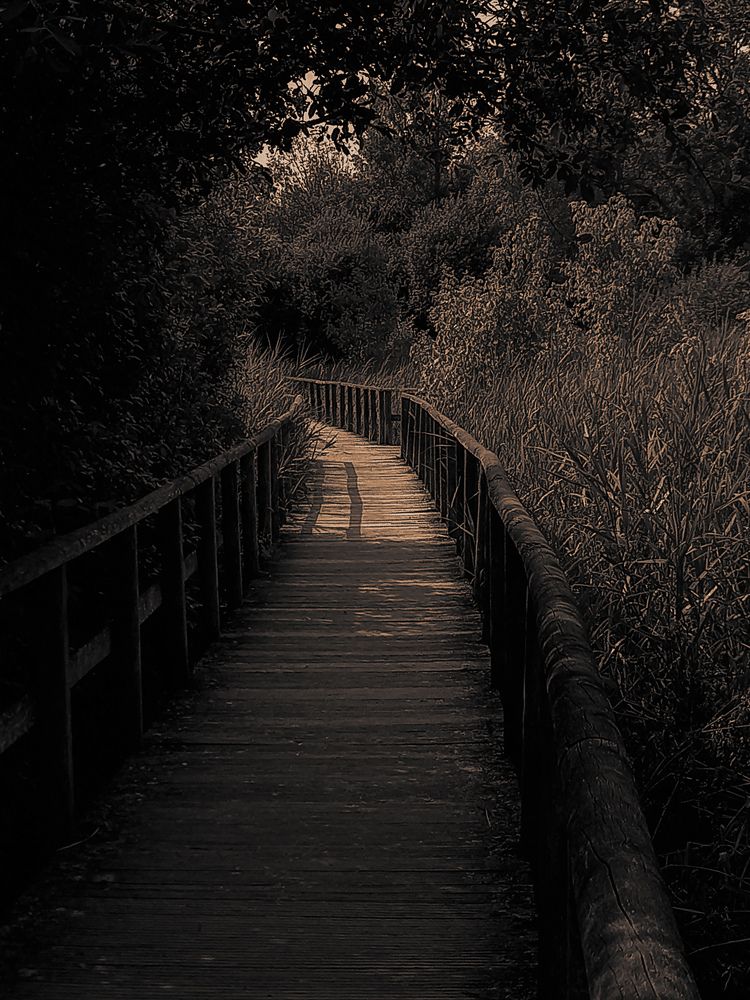 Фотография автора Alexandra Kazakova