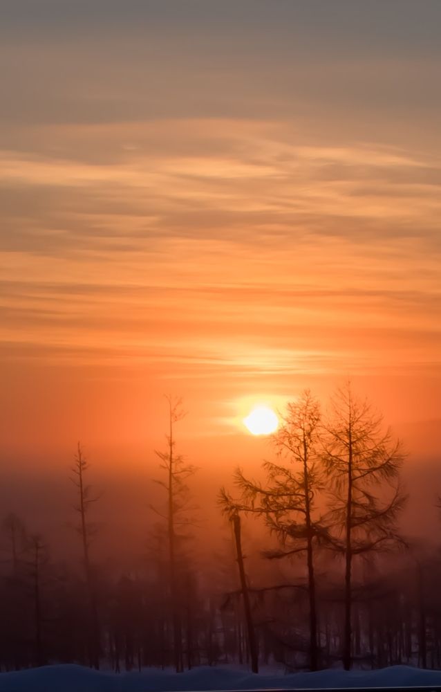 Photograph by Михаил Мархинин