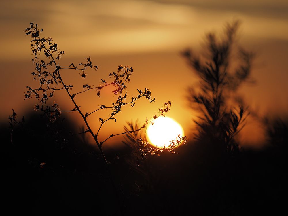 Photograph by Маргарита Ивкова