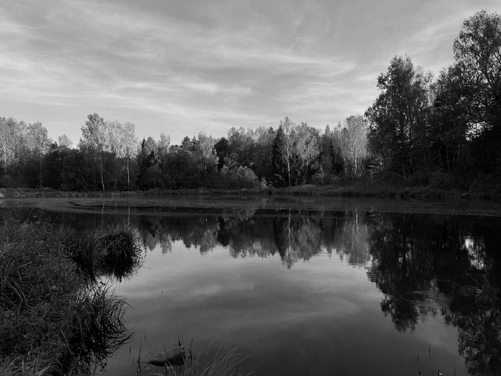 Photograph by Виктория Лаур