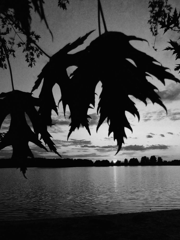 Photograph by Ия Дирко