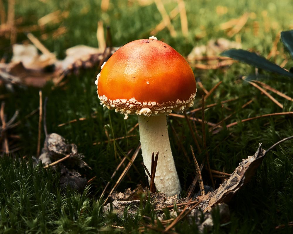 Photograph by Ирина Секачева