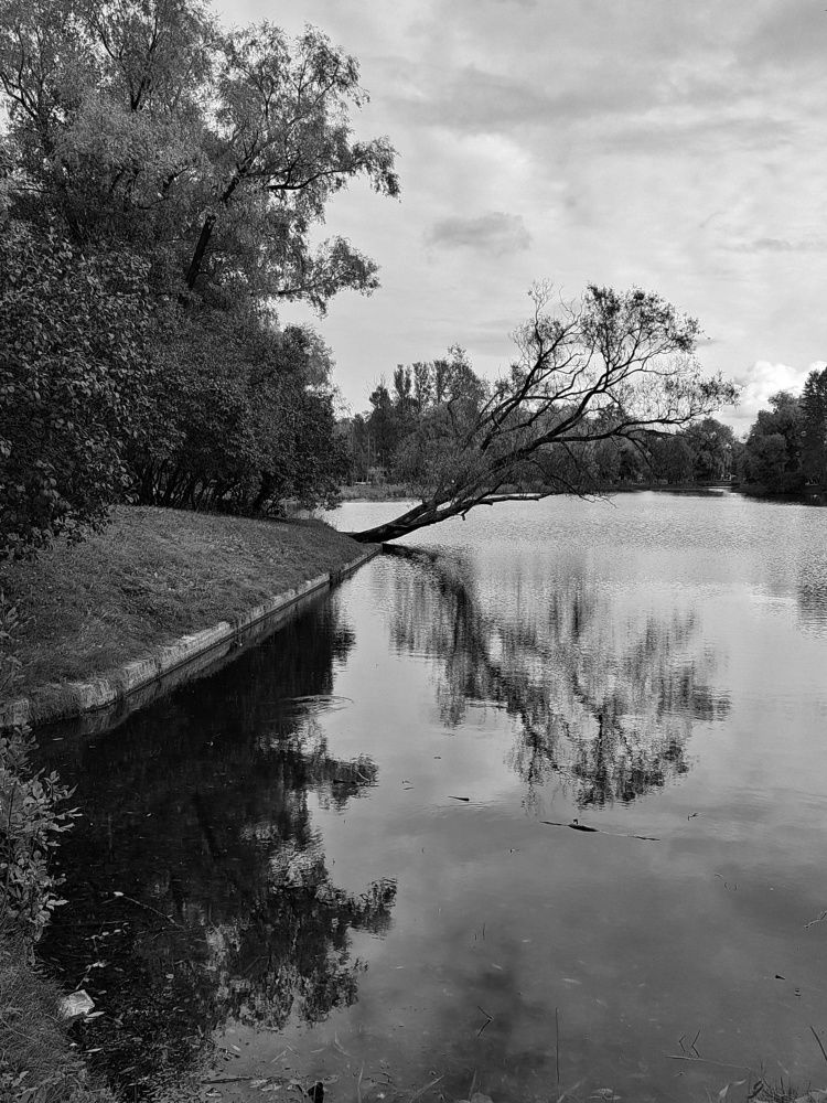 Photograph by Елена Маркова