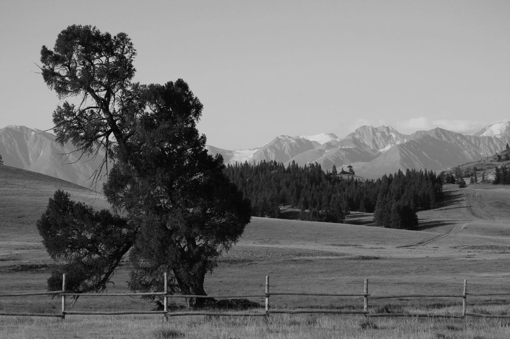 Photograph by Константин Михайлов